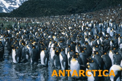 Antarctica