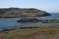 calf of man